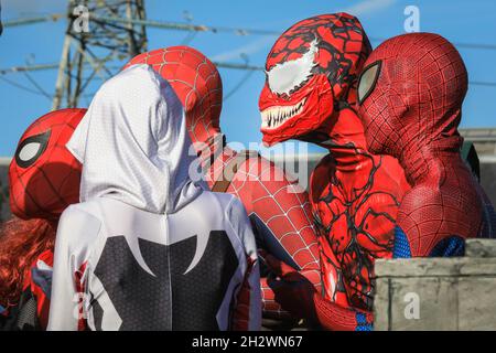 Excel, Londra, Regno Unito. 24 ottobre 2021. Un Spiderman si riunisce. I cosplayer e gli appassionati di anime, fantascienza, giochi e cultura pop scenderanno ancora una volta nel centro espositivo Excel di Londra per MCM Comic con London il suo ultimo giorno. Credit: Imagplotter/Alamy Live News Foto Stock