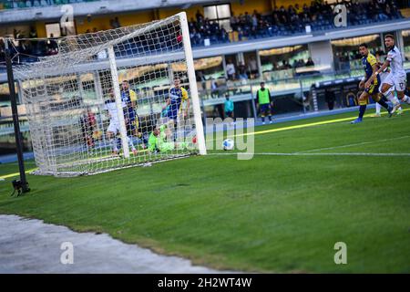 Verona, Italia. 24 ottobre 2021. Shoot of Felipe Anderson (SS Lazio) durante Hellas Verona FC vs SS Lazio, Campionato Italiano di calcio a a Verona, Italia, ottobre 24 2021 Credit: Independent Photo Agency/Alamy Live News Foto Stock