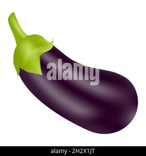 Melanzane realistiche da orto isolato su sfondo bianco Illustrazione Vettoriale
