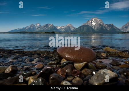 Rocce sulla riva del lago Jackson a Hermitage Point a Teton Foto Stock