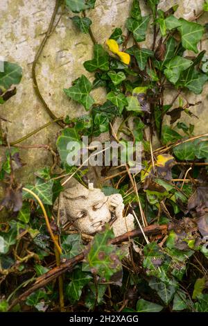 Un intaglio in pietra rotto della faccia di un cherubino parzialmente nascosto in edy su una pietra a Southampton Old Cemetery, Hampshire, Inghilterra. Foto Stock