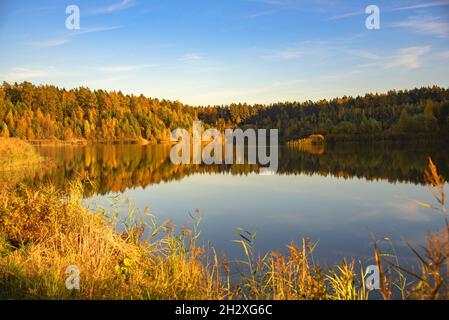 La foresta giallognola si riflette sulla superficie del lago, illuminata dalla luce del sole. Paesaggio autunnale. Foto Stock