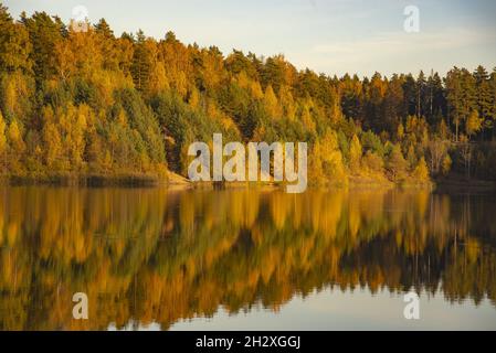 La foresta giallognola si riflette sulla superficie del lago, illuminata dalla luce del sole. Paesaggio autunnale. Foto Stock