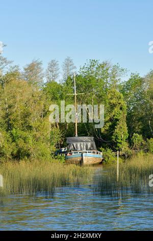 Fiume Tigre nella città di Buenos Aires in Argentina. Foto Stock