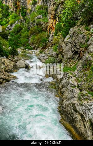 Fiume Guadalquivir attraverso il Parco Nazionale di Cazorla - Jaen Foto Stock