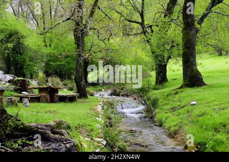 Fiume Guadalquivir attraverso il Parco Nazionale di Cazorla - Jaen Foto Stock