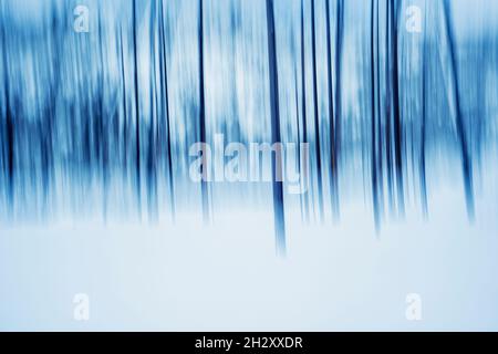 Gli alberi in una foresta invernale si offuscavano utilizzando il movimento intenzionale della fotocamera Foto Stock