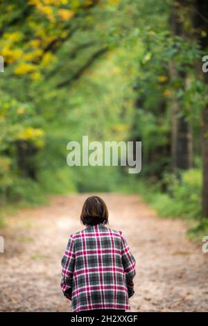 Vista posteriore di una donna che indossa un cappotto controllato che cammina da sola attraverso una foresta in autunno Foto Stock