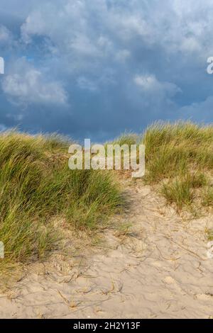 pista di sabbia attraverso le dune e l'erba di marram sulla riserva naturale di studland beach sull'isola di purbeck in dorset in una giornata nuvolosa con luce autunnale. Foto Stock