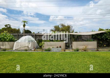 Un giardino di verdure casa cortile con letti rialzati rete e ombreggiato con un prato verde in primo piano Foto Stock