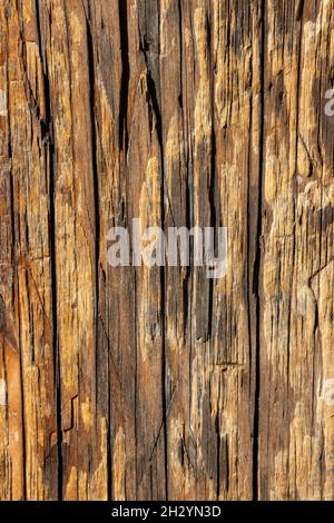 Sfondo vintage di vecchia superficie in legno, struttura in legno primo piano Foto Stock