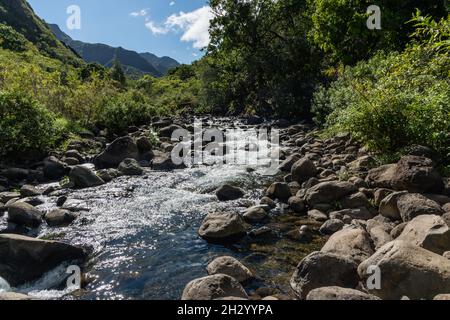 Vista panoramica sul fiume Iao, West Maui Mountains, Hawaii Foto Stock