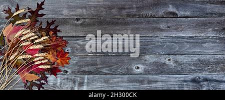 Vista dall'alto di foglie colorate con steli di grano essiccato su tavole di legno invecchiate in modo naturale per la stagione delle vacanze autunnali di Halloween o Thanksg Foto Stock