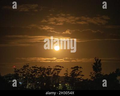 Chiaro di luna dorato, luna gialla piena e luminosa che illumina la notte e le nuvole. Luci per la strada e la casa e gum Tree sagomati sotto. Foto Stock