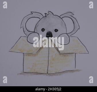 Carino orso koala disegnato a mano nascosto in illustrazione scatola Foto Stock