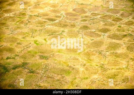 Vista aerea sui paesaggi tundra del Nord Yakutia da un aereo Foto Stock