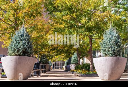Piccolo e bellissimo parco di fronte a un edificio di uffici nel centro di Denver, Colorado Foto Stock