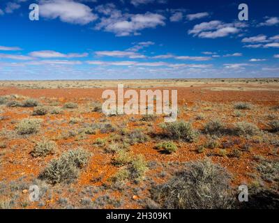 Rosso sporco e cielo blu del deserto del Sud Australia a nord di Coober Pedy visto dalla Stuart Highway. Foto Stock