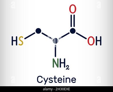 Cisteina, Cys, molecola proteinogenica di aminoacidi. Formula chimica scheletrica. Illustrazione vettoriale Illustrazione Vettoriale
