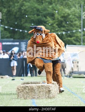 I frequentatori del Festival partecipano alla gara di cavalli pantomima il giorno 1 del Field Day, Victoria Park - Londra Foto Stock