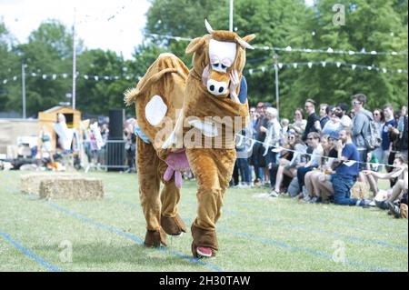 I frequentatori del Festival partecipano alla gara di cavalli pantomima il giorno 1 del Field Day, Victoria Park - Londra Foto Stock