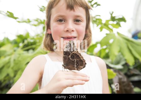 Butterfly atterra in mano a una giovane ragazza nel Butterfly Dome al RHS Hampton Court Flower Show, a Hampton Court, Teddington - Londra Foto Stock