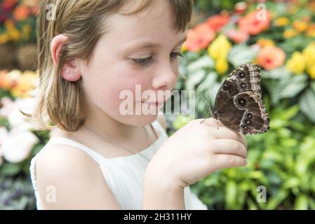 Butterfly atterra in mano a una giovane ragazza nel Butterfly Dome al RHS Hampton Court Flower Show, a Hampton Court, Teddington - Londra Foto Stock