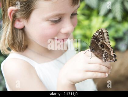 Butterfly atterra in mano a una giovane ragazza nel Butterfly Dome al RHS Hampton Court Flower Show, a Hampton Court, Teddington - Londra Foto Stock