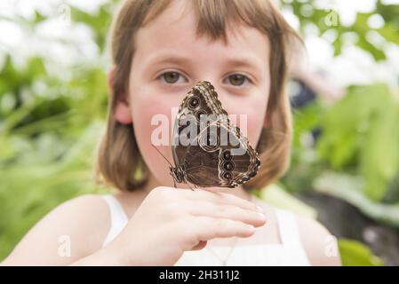 Butterfly atterra in mano a una giovane ragazza nel Butterfly Dome al RHS Hampton Court Flower Show, a Hampton Court, Teddington - Londra Foto Stock