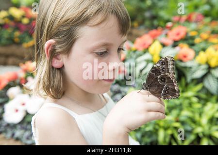 Butterfly atterra in mano a una giovane ragazza nel Butterfly Dome al RHS Hampton Court Flower Show, a Hampton Court, Teddington - Londra Foto Stock