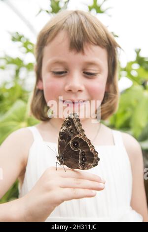 Butterfly atterra in mano a una giovane ragazza nel Butterfly Dome al RHS Hampton Court Flower Show, a Hampton Court, Teddington - Londra Foto Stock