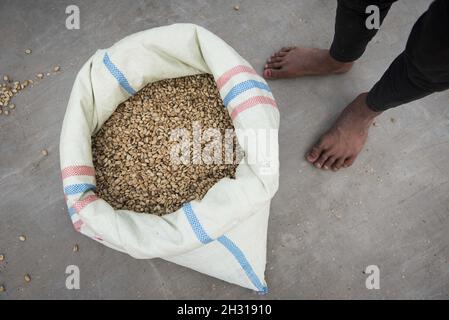 Vista aerea di un sacco di chicchi di caffè prima che vengano inviati per la torrefazione, Sumatra, Indonesia. Data immagine: Mercoledì 6 dicembre 2017. Il credito fotografico dovrebbe essere: David Jensen/ EMPICS Entertainment Foto Stock