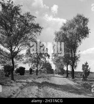 Besichtigung der Fehnkolonie von Worpswede, Deutsches Reich 1930er Jahre. Sondaggio della torba distretto di Worpswede, Germania 1930s. Foto Stock