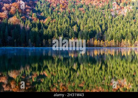 Idilliaco paesaggio autunnale con colorati alberi verdi e gialli che si riflettono nel lago. Transilvania, Lago di Sant'Anna. Foto Stock