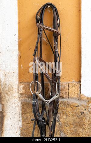 Imbracatura a cavallo appesa al muro Foto Stock