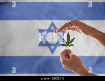 Mano della donna che tiene una foglia di Marijuana da una Cannabis medica o pianta di canapa CBD sullo sfondo della bandiera di Israele. Foto Stock