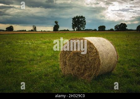 Balla di fieno rotonda in un prato verde e cielo nuvoloso, Nowiny, Polonia Foto Stock