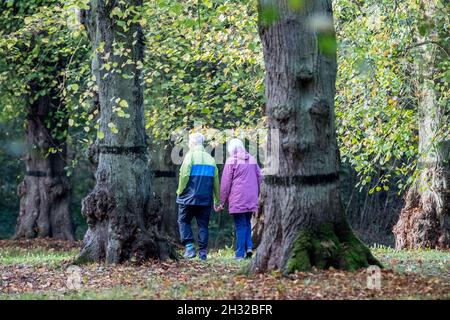 Clumber Park, Nottinghamshire, Inghilterra, Regno Unito. 25 ottobre 2021. Meteo Regno Unito. Le persone che amano la loro mattinata d'autunno esercitarsi lungo il viale di Lime Tree a Clumber Park, Nottinghamshire, Inghilterra. Credit: Alan Keith Beastall/Alamy Live News Foto Stock