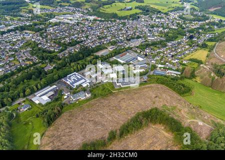 Fotografia aerea, zona forestale danneggiata, zona industriale Unterm Gallenlöh, Drolshagen, Sauerland, Renania settentrionale-Vestfalia, Germania, albero de