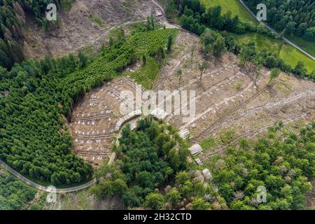 Fotografia aerea, zona forestale di Hünkesohl con danni alla foresta nei pressi di Wormberg, Drolshagen, Sauerland, Renania settentrionale-Vestfalia, Germania, albero morte, abbaia essere Foto Stock