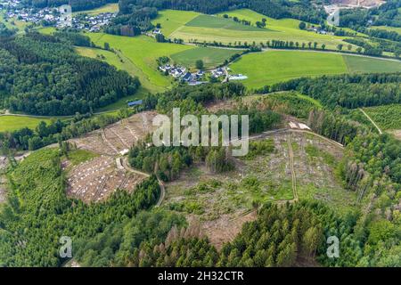 Fotografia aerea, zona forestale di Hünkesohl con danni alla foresta nei pressi di Wormberg, Drolshagen, Sauerland, Renania settentrionale-Vestfalia, Germania, albero morte, abbaia essere Foto Stock