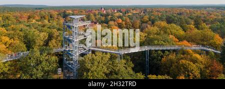 Beelitz, Germania. 25 ottobre 2021. Una torre di osservazione sopra il sentiero della cima degli alberi 'albero e tempo' sorge nell'aria con il tempo soleggiato. Il sentiero lungo 320 metri si trova sui terreni degli ex sanatori polmonari di Beelitz-Heilstätten. Dalla costruzione in acciaio e legno sopra le cime degli alberi, i visitatori possono vedere gli edifici elencati e il parco. (Vista aerea con un drone) Credit: Monika Skolimowska/dpa-Zentralbild/ZB/dpa/Alamy Live News Foto Stock