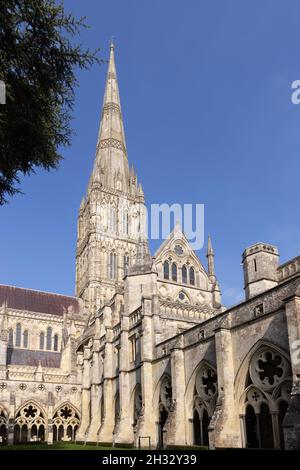 Salisbury Cathedral spire visto dai chiostri, una cattedrale medievale del 13th secolo con architettura gotica, Salisbury Wiltshire UK Foto Stock