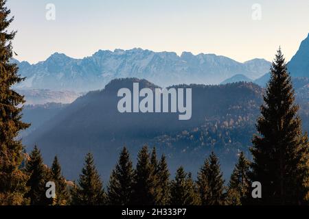 Foresta di montagna in autunno con montagne sullo sfondo Foto Stock