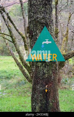 Cartello triangolare dipinto a mano per l'acqua con l'icona del rubinetto, il rubinetto sotto è incorporato nell'albero. Campeggio Red Squirrel, Scozia. Foto Stock