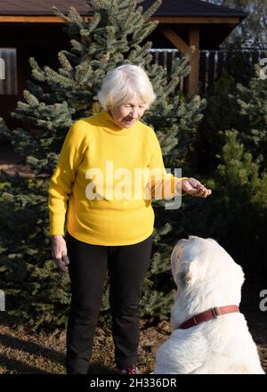 Attraente grigio-capelli 85 anni donna gioca con il cane grande. Una calda giornata autunnale in giardino per il relax e la vita lenta. Foto Stock