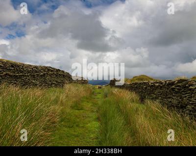 Nanny Lane una corsia verde su Wansfell sopra Troutbeck, Windermere in Cumbria Foto Stock