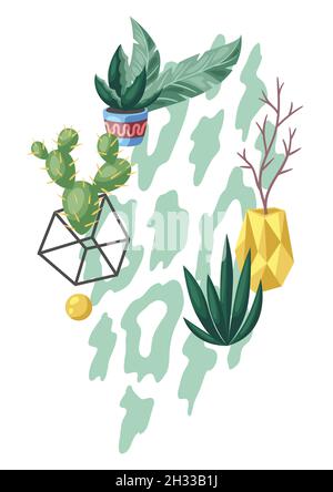 Sfondo con cactus e succulenti. Cactus e piante ornamentali a fiore spiky in vasi di fiori. Illustrazione Vettoriale