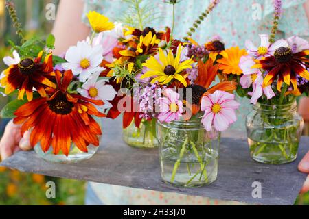 Donna con fiori freschi dal suo giardino di taglio - girasole, rudbeckia, verbena, cosmo, menta e vaso marigold visualizzati in vasetti di vetro riciclato. REGNO UNITO Foto Stock