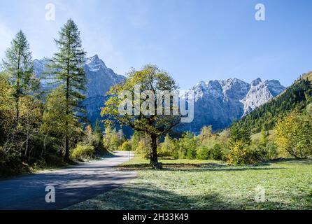 L'altopiano degli Hinterriss e dell'Eng è una caratteristica panoramica speciale con l'Ahornboden, la più grande area di alberi di acero in tutte le Alpi Foto Stock